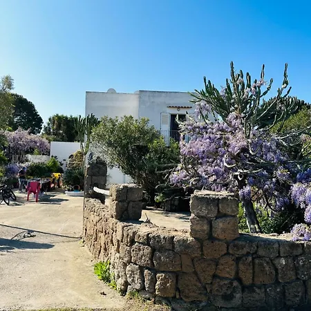Hébergement de vacances Cinque Tomoli *