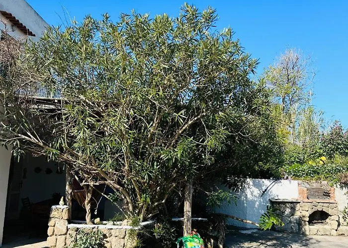 Cinque Tomoli Holiday home Ventotene